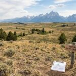 land banking investment